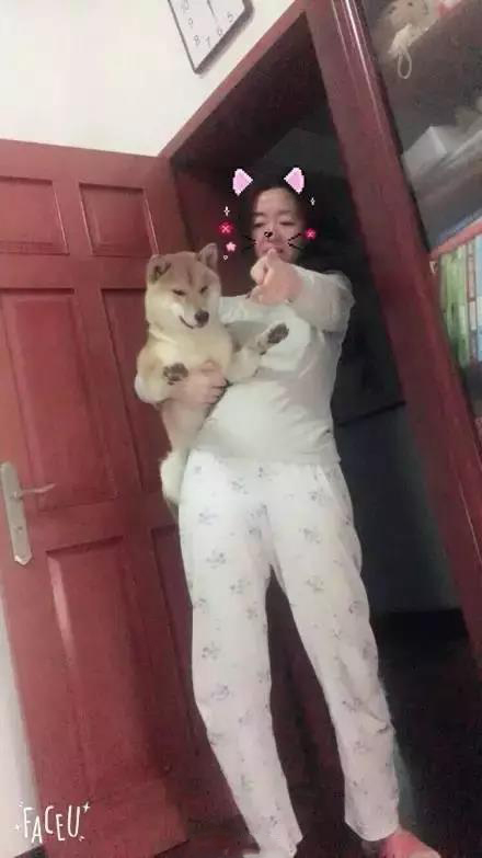 軟板廠之爸媽，我真的是你們親生的嗎？