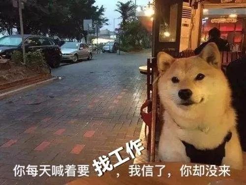 招聘 | 這是一道送錢題，有膽你就來！